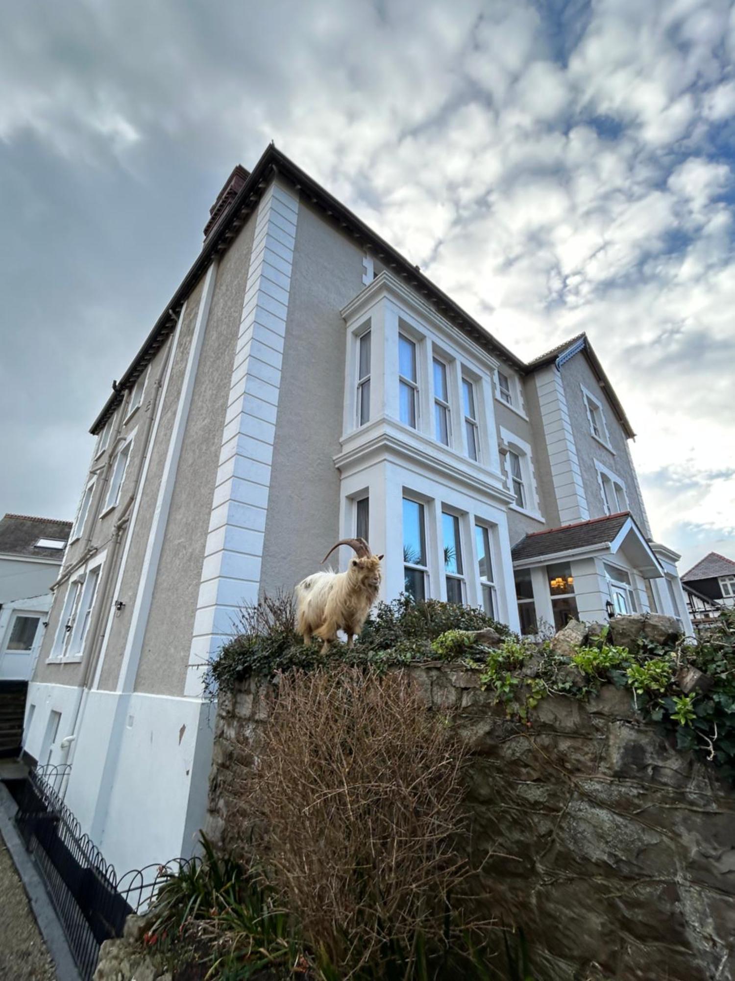 Lansdowne House With Private Car Park Hotell Llandudno Exteriör bild